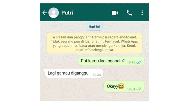 6 Chat Tanya 'Lagi Apa' Tanpa Basa-Basi Ini Balasannya Bikin Elus Dada
