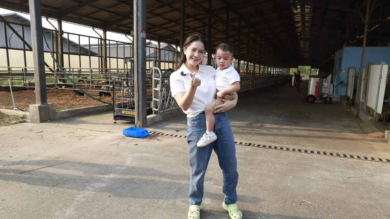 Nagita Slavina dan Cipung diajak berkeliling ke berbagai fasilitas peternakan dan pengolahan susu.