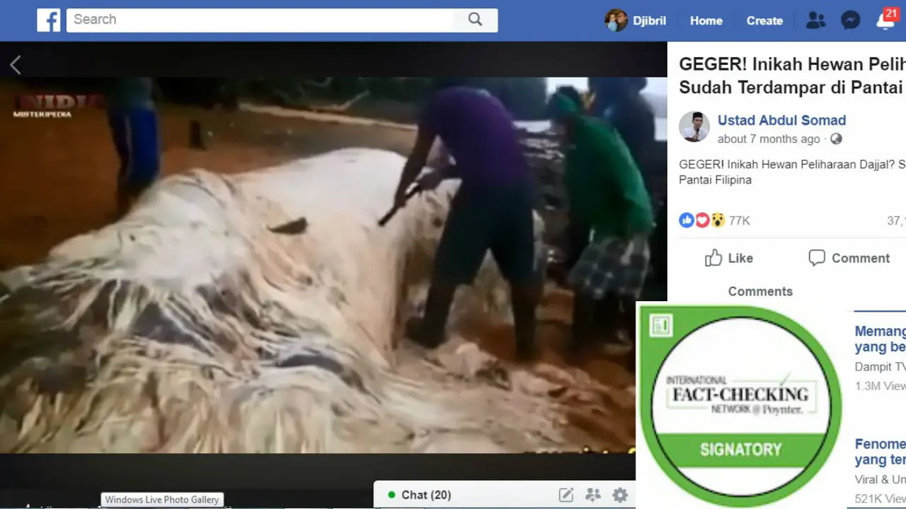 Hoaks, Video Penampakan Hewan Peliharaan Dajjal