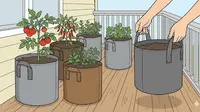 11 Desain Kebun Sayur di Rumah yang Gampang Dipindah-pindah, Praktis dan Modern
