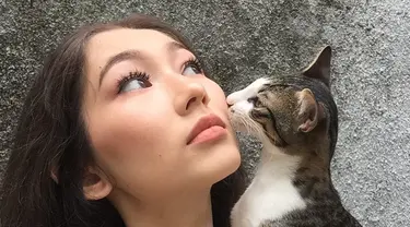 Devina Aureel memiliki kucing yang ia beri nama Macican. Kucing ini merupakan jenis kucing domestik yang dirawat Devina sejak kucing tersebut masih kecil. (Liputan6.com/IG/@devinaureel).