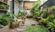 7 Ide Taman Rumah Ramah Hewan Peliharaan Tanpa Mengurangi Ruang Gerak
