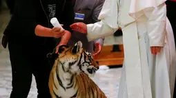 Paus Francis mencoba membelai seekor harimau di tengah acara sirkus jalanan yang digelar di Aula Paulus VI, Vatikan (16/6). Di sela-sela pertunjukan sirkus, Paus Francis diberi kesempatang memegang harimau. (REUTERS/Tony Gentile)