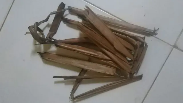 Seikat daun kelapa kering yang digunakan oleh pelaku untuk menyundut anaknya (Liputan6.com/Ist)