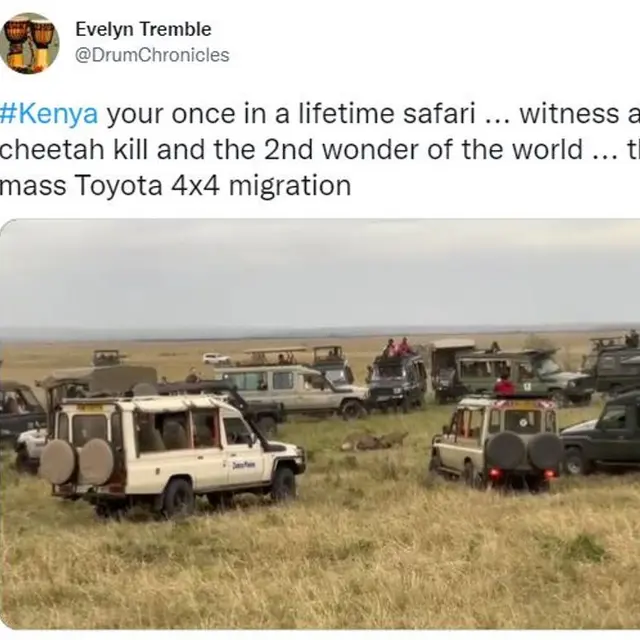 Andalkan Atraksi Hewan Saling Membunuh, , Safari Tur di Kenya Jadi Kontroversi