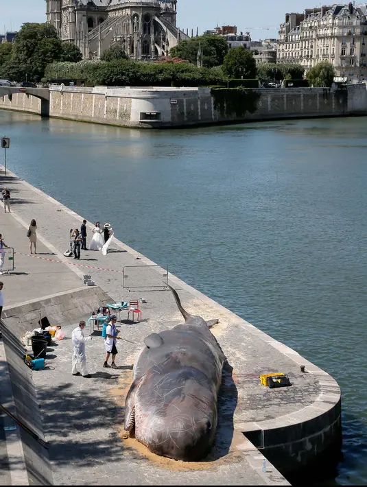 Sejumlah Warga melihat patung ikan paus berkuruan besar di sepanjang Sungai Seine di Paris, Prancis, (21/7). Munculnya paus ini sebagai bagian promosi festival "Paris l'Ete" (Paris in the Summer ). (AP Photo / Michel Euler)