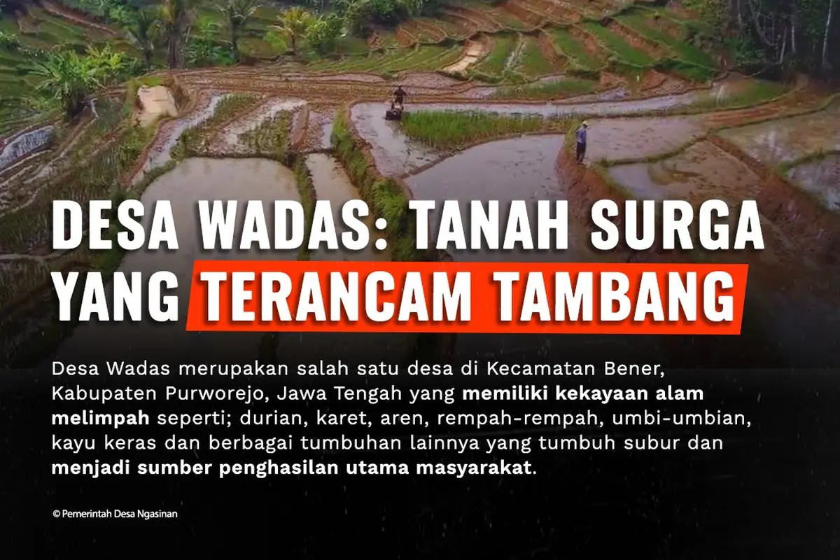 Desa Wadas dalam sorotan Greenpeace.