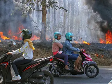 Pengendara melintas saat kobaran api membakar hutan jati di Kawasan Mijen Semarang, Sabtu (21/9/2019). Musim kemarau yang panjang dan kondisi yang kering mempermudah api menyebar di kawasan tersebut. (Liputan6.com/Gholib)
