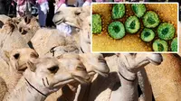 Antisipasi MERS, Wisatawan Timur Tengah di Singapura Diskrining