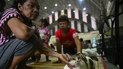 Pengungsi juga membawa serta hewan kesayangan mereka saat berlindung sementara. (Lillian SUWANRUMPHA/AFP)