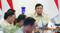 Strategi Prabowo Atasi Kebakaran Hutan Tanjung Puting