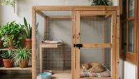 Cara Membuat Kandang Kucing dari Kardus, Kayu, dan Pipa PVC