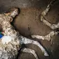 Seorang arkeolog memeriksa sisa-sisa kerangka kuda di situs arkeologi Pompeii, Italia, Minggu, 23 Desember 2018. (Cesare Abbate/ANSA Via AP) (Associated Press)