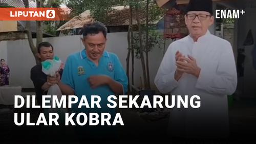 VIDEO: Menyeramkan! Rumah Mantan Gubernur Banten Dilempar Karung Berisi Ular Kobra