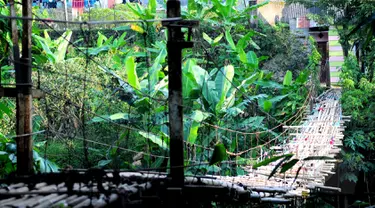 Kondisi jembatan bambu yang menghubungkan Kampung Bambon, Jakarta Selatan dan Kelapa Dua Depok memiliki kondisi yang cukup memprihatinkan, Depok, Jumat (13/3/2015). (Liputan6.com/Yoppy Renato)