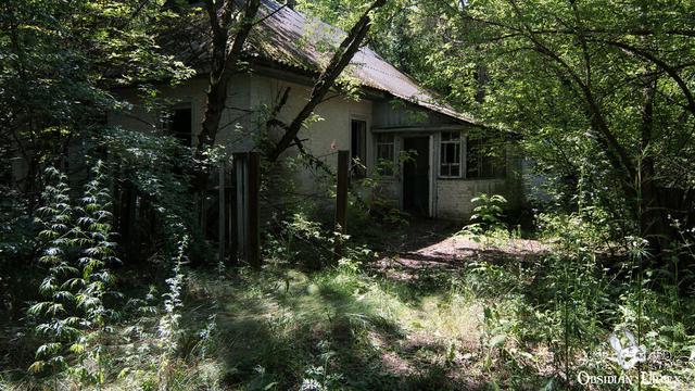 35 Tahun Berlalu, Ini 6 Potret Bangunan Bencana Nuklir Chernobyl yang Mengerikan