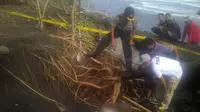 Penemuan kerangka dan tulang belulang manusia di Pantai Yehembang, Jembrana, Bali. (Liputan6.com/Dewi Divianta)