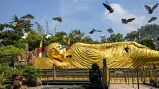 Sejumlah burung merpati terbang di samping patung Buddha raksasa di Maha Vihara Mojopahit, Mojokerto, Jawa Timur, pada tanggal 15 Mei 2024. (JUNI KRISWANTO/AFP)