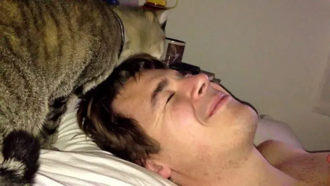 Alarm Kucing, Cara Bangun Pagi Terbaik untuk Umat Manusia