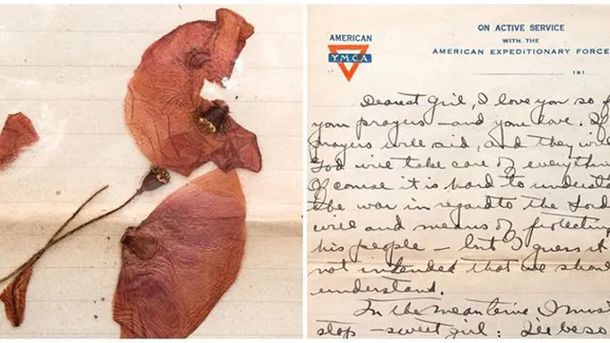 Foto : copyright dailymail.co.uk