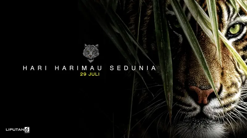 Banner Infografis Hari Harimau 