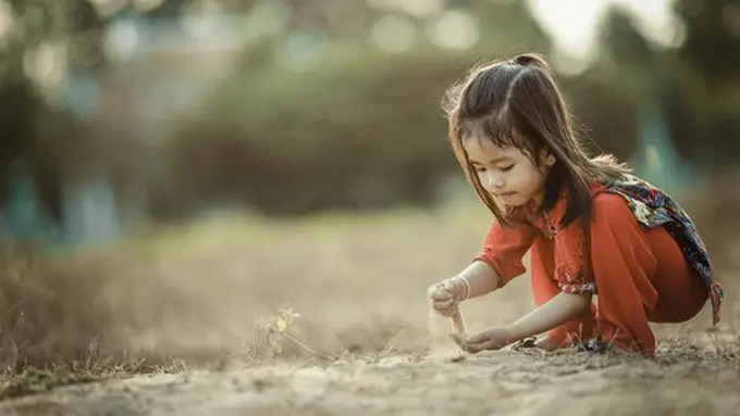 copyright by stocksnap.io