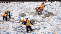 Pekerja melakukan aktivitas bongkar muat beras impor di Pelabuhan Tanjung Priok, Jakarta, Jumat (16/12/2022). Perum Bulog mendatangkan 5.000 ton beras impor asal Vietnam guna menambah cadangan beras pemerintah (CBP) yang akan digunakan untuk operasi pasar. (Liputan6.com/Faizal Fanani)