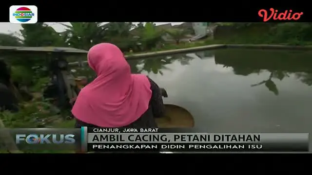 Dituduh mencuri cacing tanah, seorang petani ditangkap.