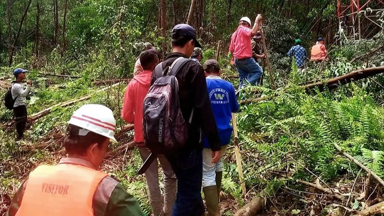 Pencarian korban terkaman harimau oleh petugas di Kabupaten Pelalawan.