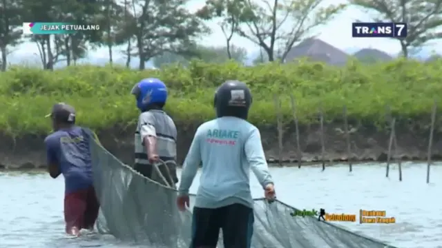 Jejak Petualang Trans 7