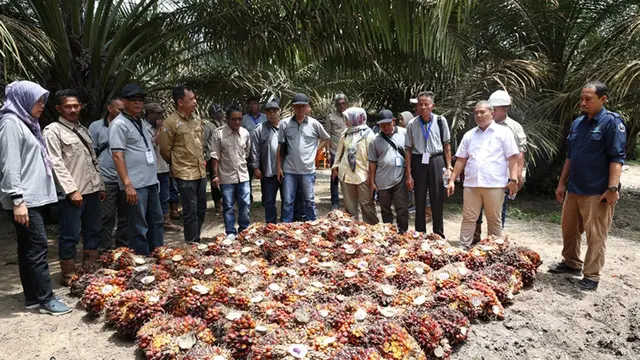 Asosiasi Petani Kelapa Sawit Perkebunan Inti Rakyat (Aspekpir)