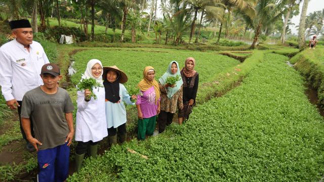 Bupati Ipuk Ngantor di Desa Bumiharjo, Petik Alpukat Aligator dan Gali Potensi Pertanian