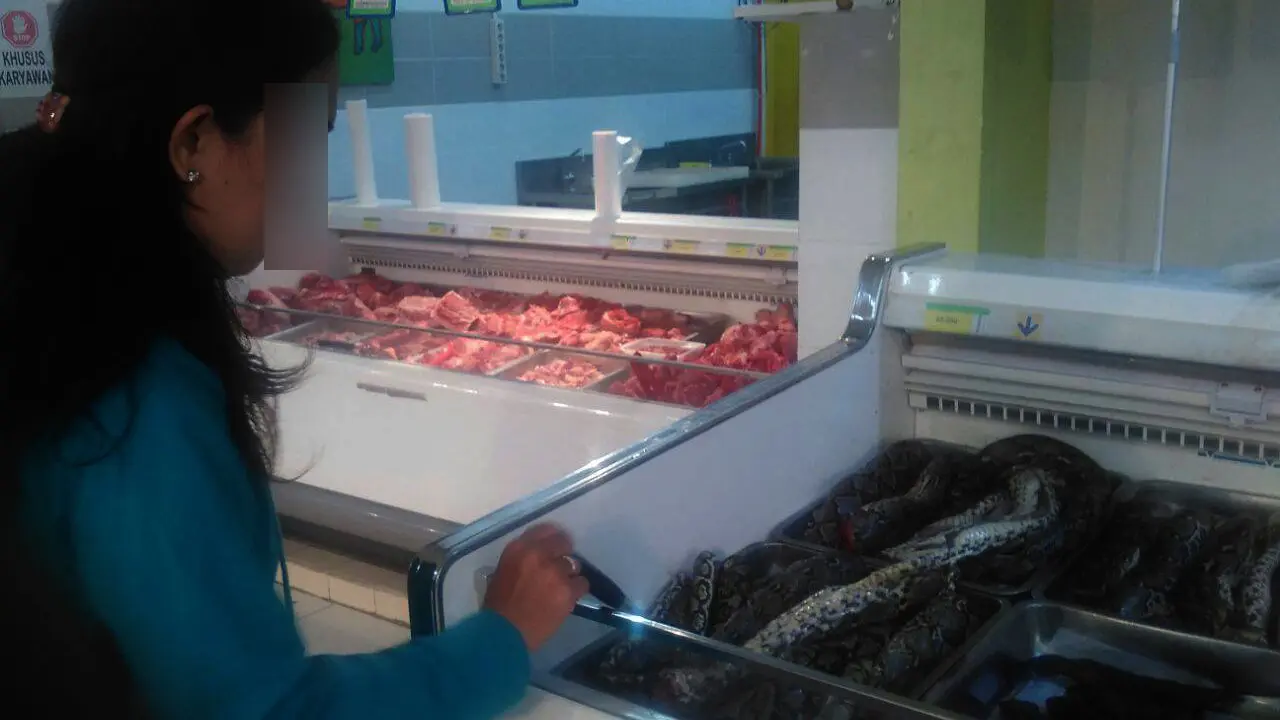 Ditegur BKSDA, Supermarket di Manado Tetap Jual Daging Ular Piton