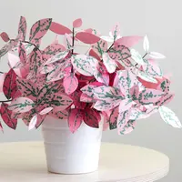 Kamu ingin memelihara tanaman tapi nggak ingin rumahmu kotor? Yuk, bikin tanaman dari kertas.