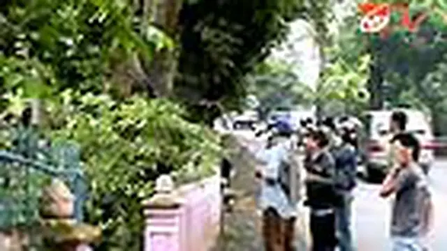 Ribuan Ulat Bulu Serang Sekolah di Semarang