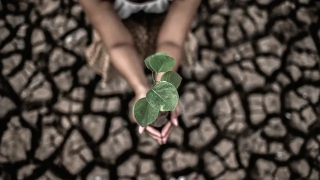 Global Warming