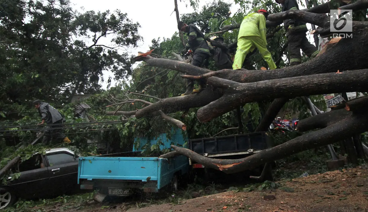 Petugas kepolisian bersama unsur masyarakat  berupaya melakukan proses pemotongan pohon besar yang tumbang akibat Hujan dan Angin di wiliyah Serua, Ciputat, Rabu (12/12). (merdeka.com/ arie basuki)