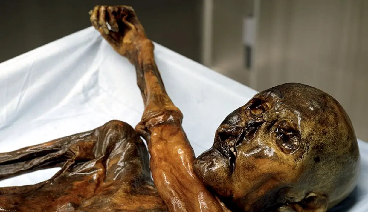 Mayat Otzi atau manusia Similaun yang ditemukan di gletser Tyrolean dan diletakkan di Museum Arkeolog EURAC, Bolzano, Italia, (4/1/2016). Mumi yang berumur 5300 tahun ini biasa disebut dengan manusia es. (REUTERS / Sudtiroler Archaeologiemuseum)