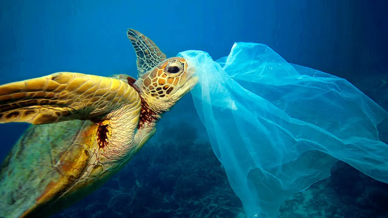 Sampah di laut