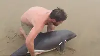 Seorang pria menyelamatkan lumba-lumba yang terdampar dan menarik simpati netizen