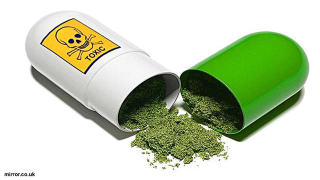 Obat Herbal Lebih Aman Dari Obat Kimia