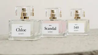 Parfum discount avicenna miracle