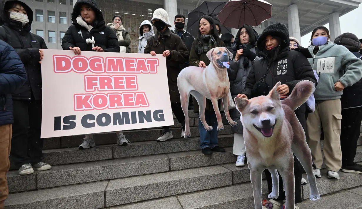 Parlemen Korea Selatan pada tanggal 9 Januari mengesahkan RUU yang melarang pengembangbiakan, pembantaian, dan penjualan anjing untuk diambil dagingnya. (JUNG YEON-JE/AFP)