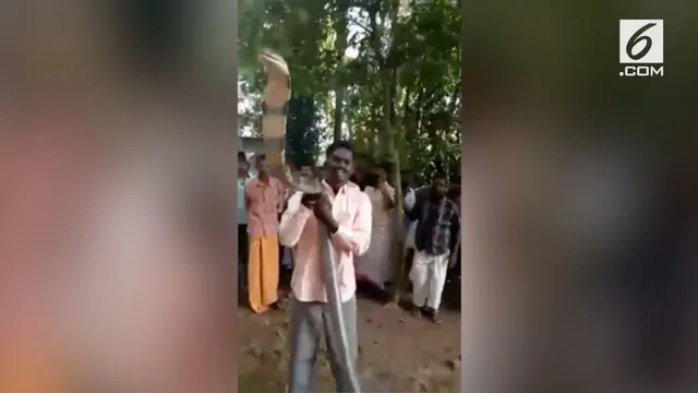 VIDEO: Ngeri, Aksi Pria Taklukkan Ular Paling Mematikan