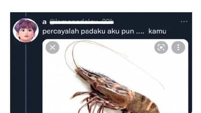 6 Sambung Lirik Lagu Pakai Gambar Ini Bikin Mikir Dua Kali