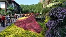 Orang-orang menikmati pesona bunga krisan di sebuah pameran di Fuzhou, ibu kota Provinsi Fujian, China pada 3 November 2020. Lebih dari 20.000 pot bunga krisan dari 1.000 lebih varietas dipertunjukkan dalam sebuah acara pameran di Taman Danau Barat di Fuzhou pada Selasa (3/11). (Xinhua/Wei Peiquan)