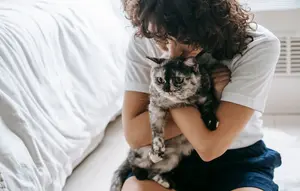 Cara Kucing Memilih Orang yang Disukainya, Ternyata Bukan Sekadar Soal Siapa yang Memberi Makan
