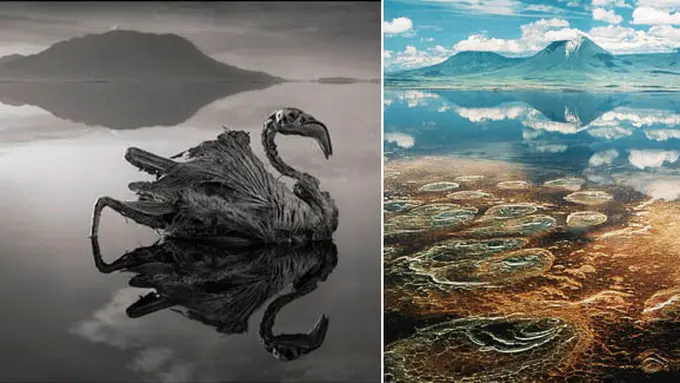 Foto: Nick Brandt & photobucket.com/seraiwallpapersm