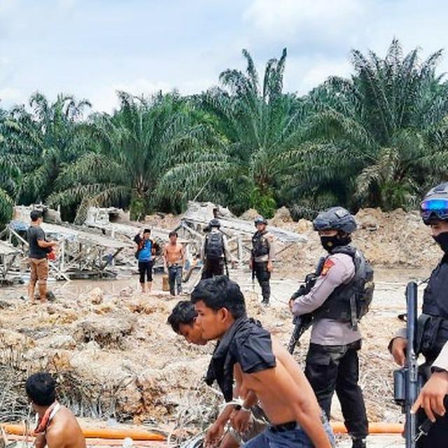 Polisi Tangkap 11 Penambang Liar Emas Di Kabupaten Kuansing Regional Liputan6 