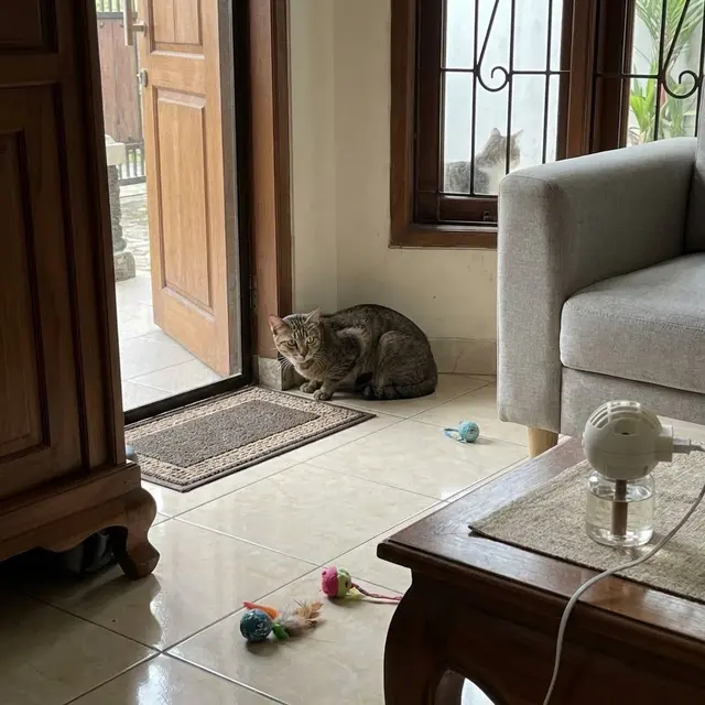 Cara Agar Keset Tidak Dikencingi Kucing